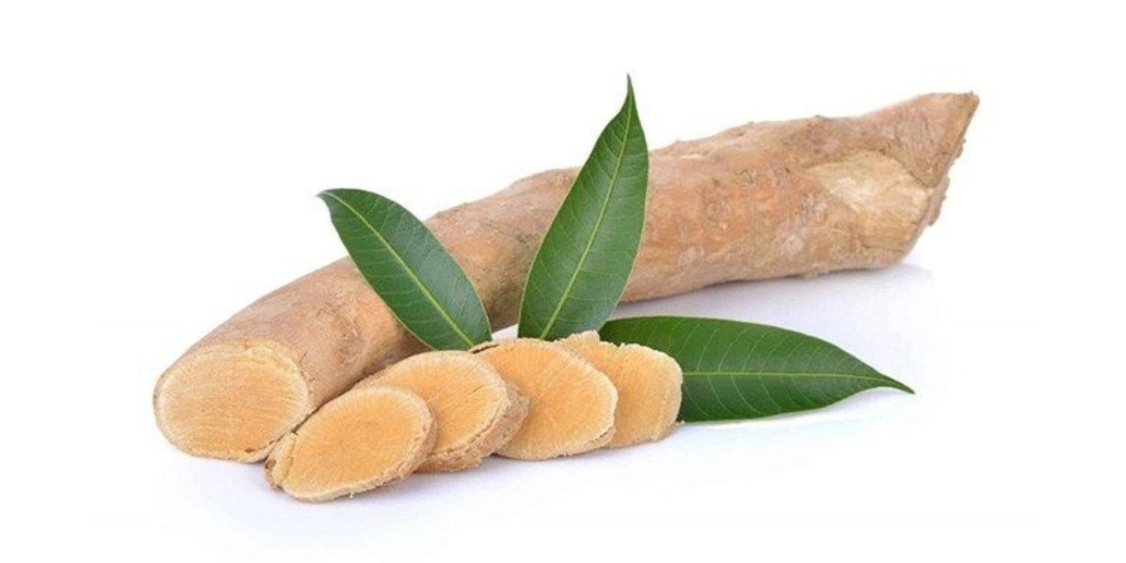 Unlocking the Benefits of Tongkat Ali: Understanding the Science Behind This Powerful Herb