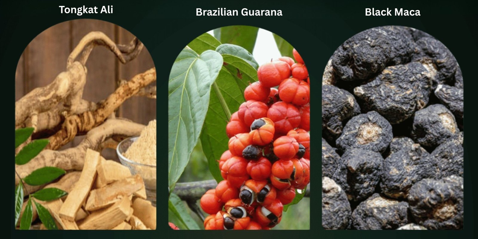 Top Herbs for Enhancing Alertness in Men