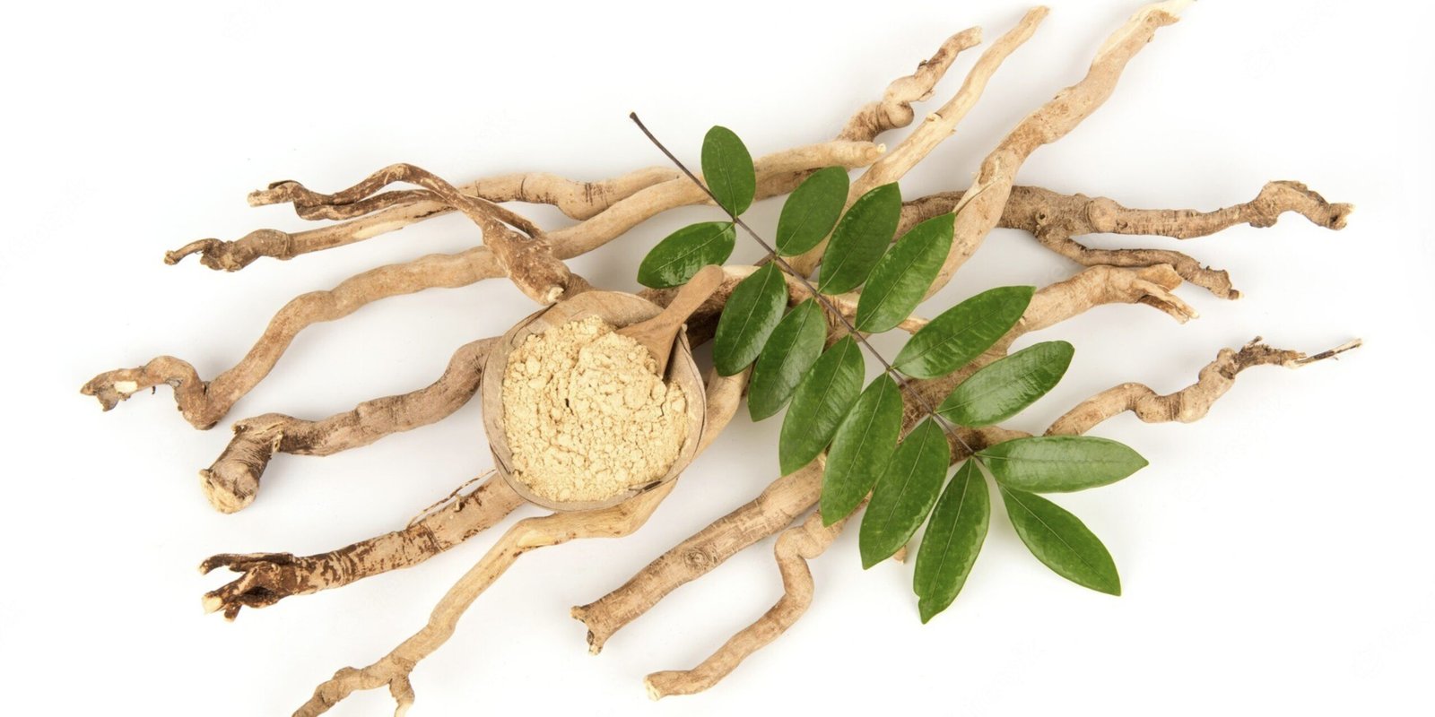 Understanding the Synergy of Ingredients: The Role of Tongkat Ali