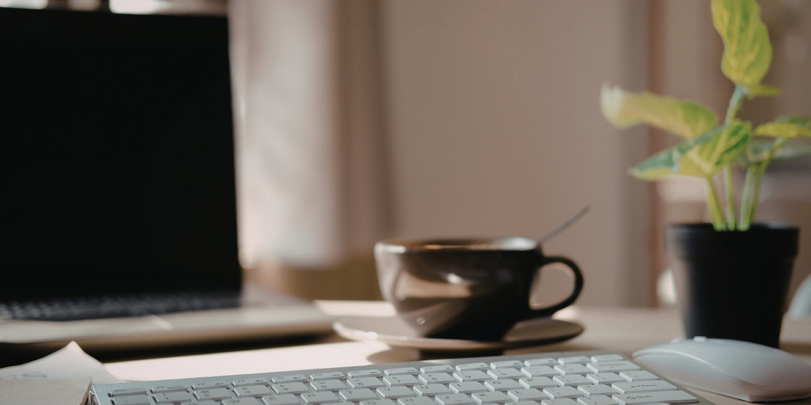 How Daily Caffeine Supports Productivity